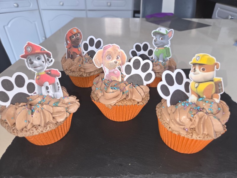 cupcakes chocolat pat patrouille