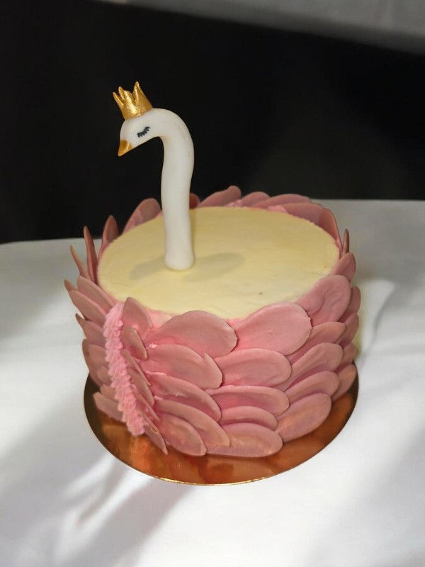 layercake enfant cygne