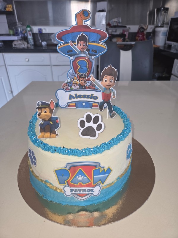 layercake enfant pat patrouille