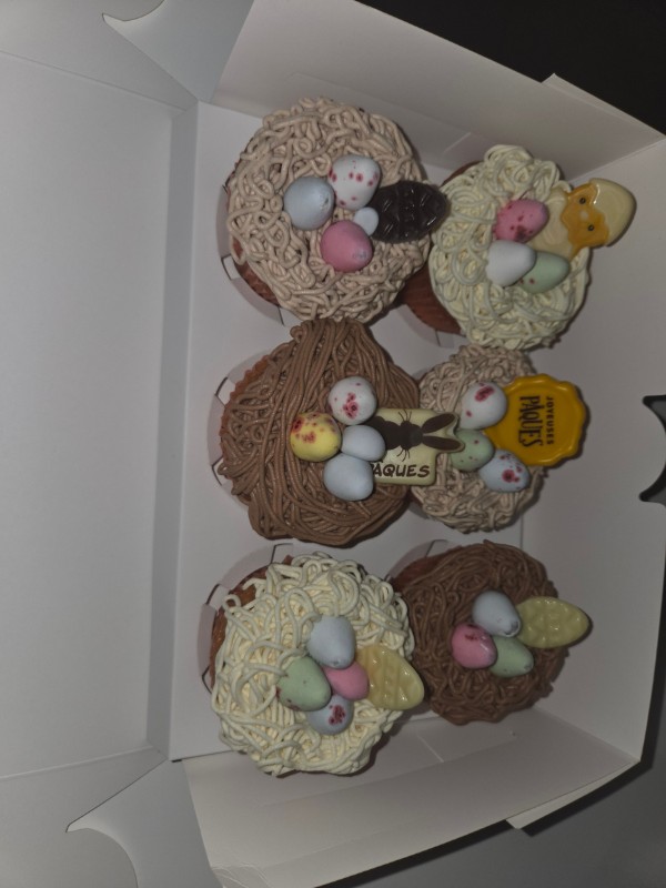 Boite 6 cupcakes de paques