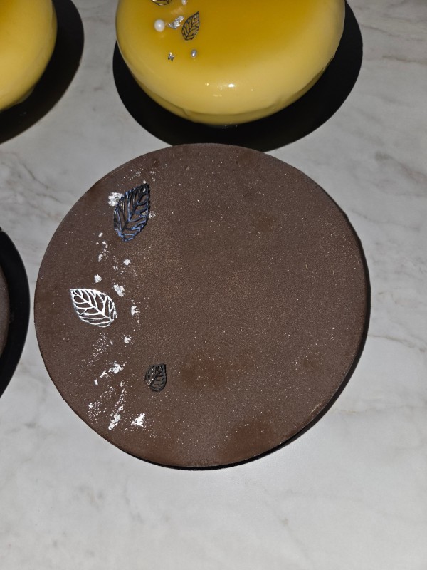 Entremet chocolat noisette praline