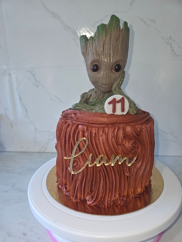 Layercake enfant Groot Liam 11