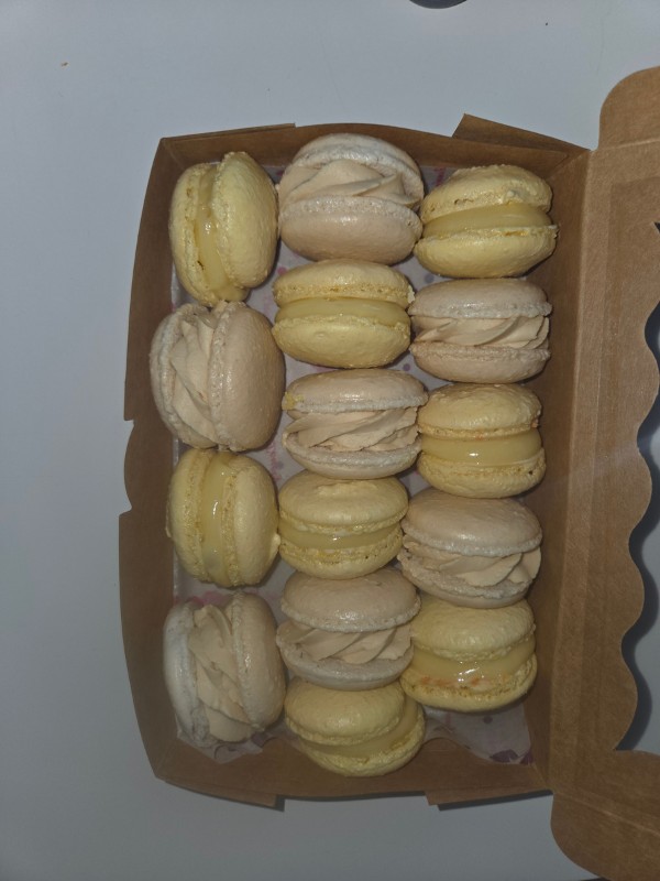 Macaron boite de 15 speculoos et citron