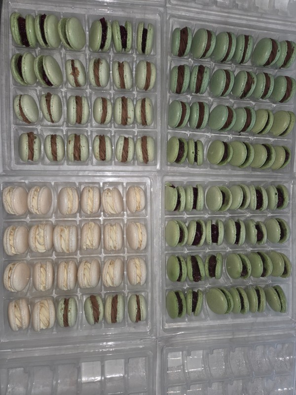 lot macarons vert sauge et blanc