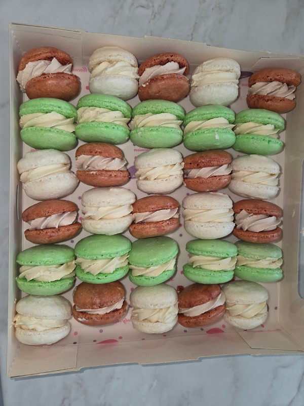 macarons savane
